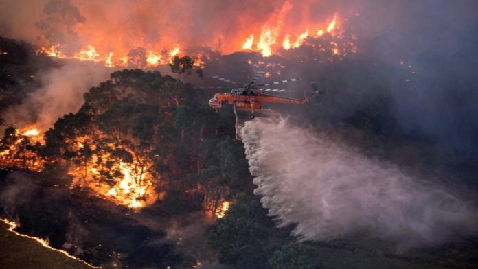 Instructions for people to leave the affected area after a fierce fire in the forests of Australia