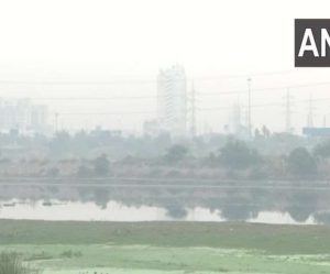 Delhi NCR Pollution 2020: AQI crosses 400 after two days of relief