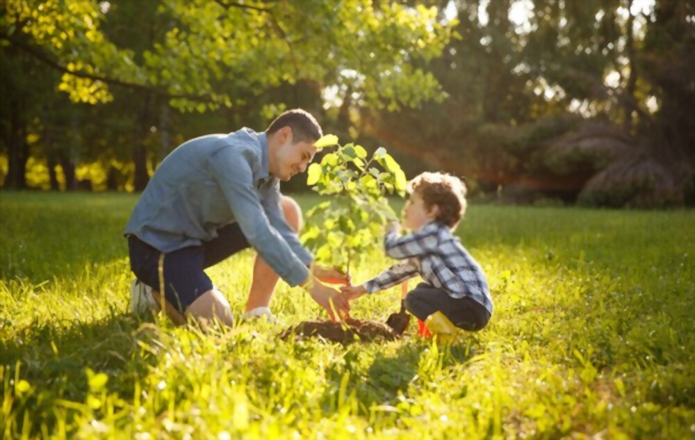 How to celebrate Father's Day at home