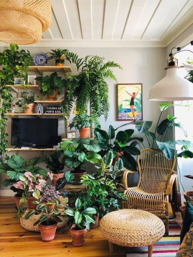 7 ways for showing houseplants while decorating with plants – News in ...