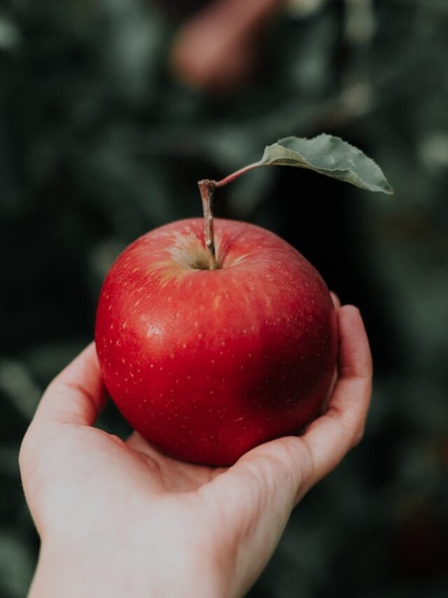 Eat these 6 summer fruits to strengthen bones in summer.