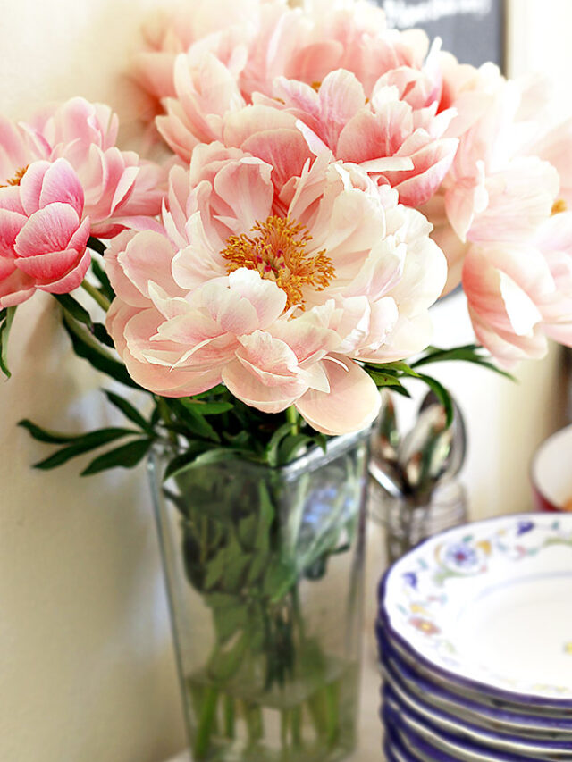 Interior designing tips for flower lovers