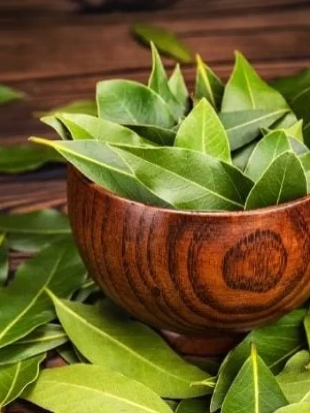 5 surprising benefits of curry leaves for hair growth